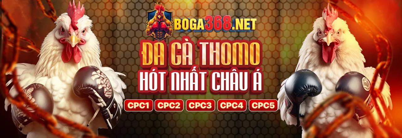 Đá Gà Trực Tuyến ibet188