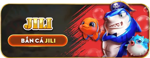 Biểu đồ về phân tích dữ liệu và tối ưu hóa trang web ibet188